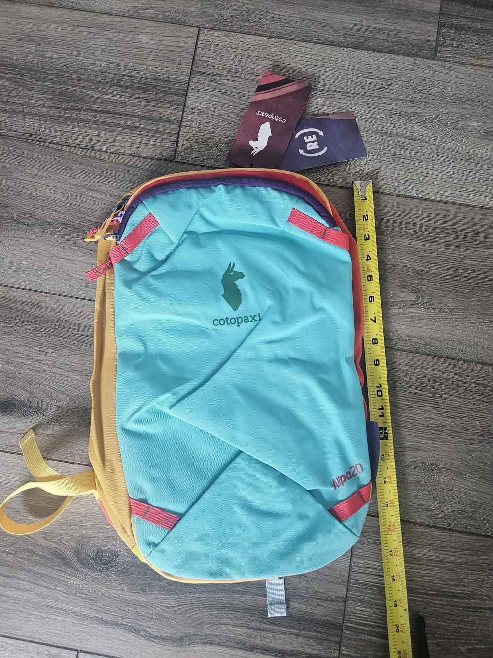 Cotopaxi 20L Turquoise & Mustard Men’s Backpack - Colorblock Backpack